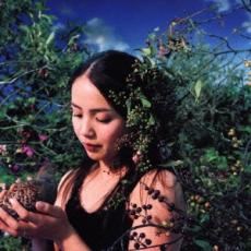 Rakuten - ハナダイロ 通常盤【CD、音楽 中古 CD】メール便可 ケース無:: レンタル落ち