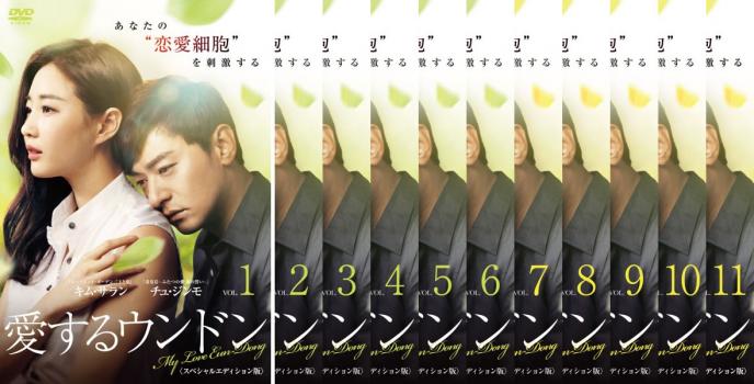 楽天市場】愛するウンドン dvd－box1の通販