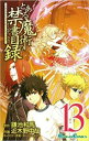 とある魔術の禁書目録 13【コミック・本 中古 コミック】レンタル落ち 【ご奉仕価格】