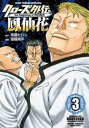 クローズ外伝鳳仙花 3 the beginning of HOUSEN【コミック・本 中古 コミック】レンタル落ち 【ご奉仕価格】