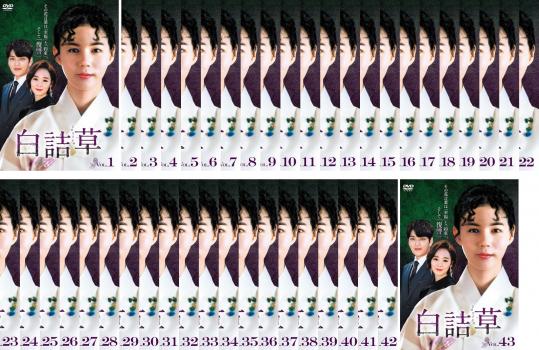 白詰草 シロツメクサ(43枚セット)第1話〜第129話 最終 字幕のみ【全巻セット 洋画 中古 DVD】ケース無:: レンタル落ち