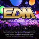 EDM エレクトロニック・ダンス・マッドネス【CD、音楽 中古 CD】メール便可 ケース無:: レンタル落ち