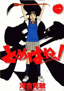 乐天商城 - とめはねっ! 鈴里高校書道部 全 14 巻 完結 セット【全巻セット コミック・本 中古 コミック】レンタル落ち