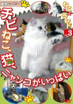 &nbsp;制作年、時間&nbsp;2008年&nbsp;59分&nbsp;製作国&nbsp;日本&nbsp;メーカー等&nbsp;アドメディア&nbsp;ジャンル&nbsp;趣味、実用／動物&nbsp;カテゴリー&nbsp;DVD&nbsp;入荷日&nbsp;【2026-04-14】【あらすじ】生後間もないチビ猫からデブ猫、さらには谷中の猫カフェ「29」や銭湯の看板猫など、都会のオアシスとも言える猫スポットを多数紹介。そのキュートな姿と鳴き声に心癒される。※ジャケット(紙)には、バーコード・管理用シール等が貼ってある場合があります。※DVDケース無しです。予めご了承ください。レンタル落ちの中古品ですディスクはクリーニングを行い出荷します