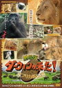劇場版 ダーウィンが来た! アフリカ新伝説【その他、ドキュメンタリー 中古 DVD】メール便可 レンタル落ち 「売り尽くし」
