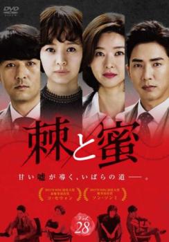 �� �ȥ� ��̪ 28(��82�á���84��) ����Τߡ��β� ��� DVD�ۥ᡼���ز� ������̵:: ��󥿥����