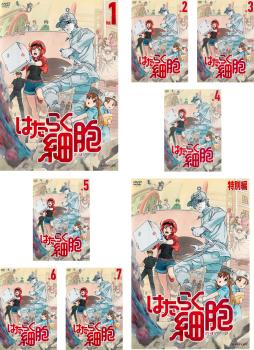 楽天市場】はたらく細胞 dvd 全巻の通販