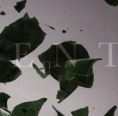 �Х�פ��㤨���TESTAMENT��CD������ ��� CD�ۥ᡼���ز� ������̵:: ��󥿥���� �����Ԥ����ۡפβ����Ǥ������ʤ�19�ߤˤʤ�ޤ���