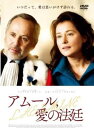アムール、愛の法廷 字幕のみ【洋画 中古 DVD】メール便可 ケース無:: レンタル落ち