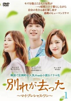 別れが去った マイ・プレシャス・ワン 1(第1話、第2話) 字幕のみ【洋画 中古 DVD】メール便可 ケース無..