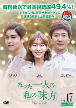 たった一人の私の味方 17(第33話、第34話)【洋画 中古 DVD】メール便可 レンタル落ち