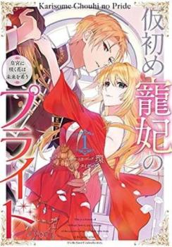 仮初め寵妃のプライド 皇宮に咲く花は未来を希う(3冊セット)第 1～3 巻【全巻 コミック・本 中古 コミック】レンタル落ち