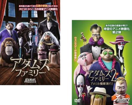 ॹեߥ꡼(2祻å)12 ˥  DVDۥ᡼ز 󥿥