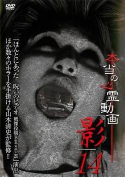 �����ο���ư�� �� 14��ˮ�� ��� DVD�ۥ᡼���ز� ��󥿥����