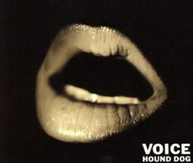 VOICE 2CDCD  CDۥ̵:: 󥿥