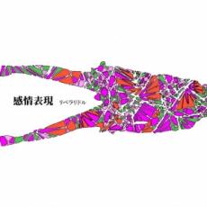 ����ɽ����CD������ ����:̤���� CD�ۥ᡼���ز� �ڤ����Ų��ʡ�