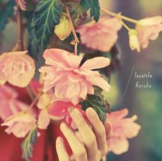 Haruka【CD、音楽 新古:未使用 CD】メール便可 【ご奉仕価格】