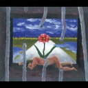 Piranha ピラニア CD+DVD 初回限定盤【CD、音楽 新古:未使用 CD】メール便可 【ご奉仕価格】