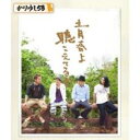 青春よ聴こえてるか【CD、音楽 新古:未使用 CD】メール便可 【ご奉仕価格】