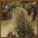 【訳あり】ベリー・オブ・ザ・サン ※状態に難あり【CD、音楽 新古:未使用 CD】メール便可