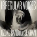 【訳あり】IRREGULAR VOICES feat 赤飯 ※状態に難あり【CD、音楽 新古:未使用 CD】メール便可