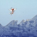 【訳あり】鯉、鳴く ※状態に難あり【CD、音楽 新古:未使用 CD】メール便可