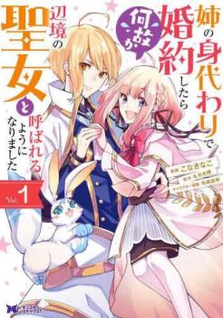 姉の身代わりで婚約したら何故か辺境の聖女と呼ばれるようになりました(6冊セット)第 1～6 巻【全巻セット コミック・本 中古 コミック】レンタル落ち