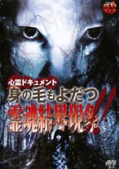 心霊ドキュメント 身の毛もよだつ 霊魂結界現象!!【邦画 中古 DVD】メール便可 レンタル落ち