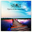 Opera of the wasteland【CD、音楽 中古 CD】メール便可 ケース無:: レンタル落ち