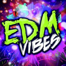 E.D.M. VIBES��CD������ ��� CD�ۥ᡼���ز� ������̵:: ��󥿥����