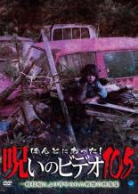 ほんとにあった!呪いのビデオ 105【邦画 中古 DVD】メール便可 レンタル落ち