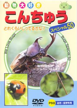 【訳あり】こんちゅう スペシャル50 ※ディスクのみ【趣味、実用 中古 DVD】メール便可 ケース無:: 「売り尽くし」
