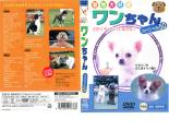 【訳あり】ワンちゃんスペシャル50 ※ディスクのみ【趣味、実用 中古 DVD】メール便可 ケース無:: 「売り尽くし」