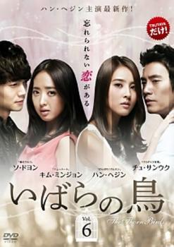 いばらの鳥 6(第11話、第12話)【洋画 中古 DVD】メール便可 ケース無:: レンタル落ち