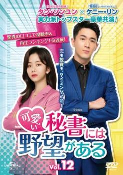 可愛い秘書には野望がある 12(第23話、第24話) 字幕のみ【洋画 中古 DVD】メール便可 ケース無:: レンタル落ち