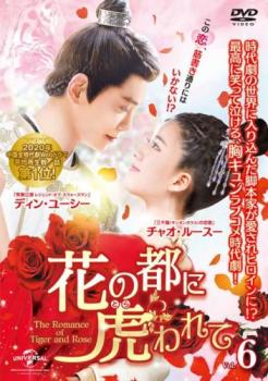 花の都に虎 とら われて The Romance of Tiger and Rose 6(第11話、第12話) 字幕のみ【洋画 中古 DVD】..