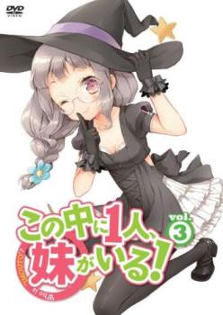 この中に1人、妹がいる! 3(第5話、第6話)【アニメ 中古 DVD】メール便可 ケース無:: レンタル落ち 「売り尽くし」