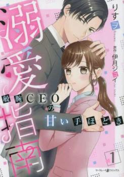 Ů������ ����CEO�δŤ���ۤɤ�(2�����å�)�� 1��2 �������� ���ߥå����� ��� ���ߥå��ۥ�󥿥����