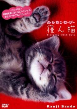 &nbsp;監　督&nbsp;板東寛司&nbsp;制作年、時間&nbsp;2008年&nbsp;35分&nbsp;製作国&nbsp;日本&nbsp;メーカー等&nbsp;有限会社アルドゥール&nbsp;ジャンル&nbsp;趣味、実用／動物&nbsp;カテゴリー&nbsp;DVD&nbsp;入荷日&nbsp;【2026-04-13】【あらすじ】「猫専門の写真家」として多くのファンを持つ板東寛司が手掛けた、愛らしい猫たちの映像を捉えた動物バラエティ。発売する写真集は売り切れ続出を記録し、動物好きから圧倒的な支持を受ける板東氏独特の世界観が、貴方の心と体を癒してくれる。※卓上キャトアルバムはついておりません。※ジャケット(紙)には、バーコード・管理用シール等が貼ってある場合があります。※DVDケース無しです。予めご了承ください。ディスクはクリーニングを行い出荷します