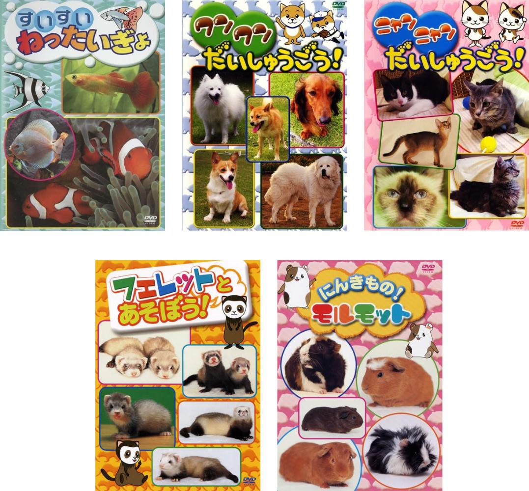 乐天商城 - すいすいねったいぎょ、ワンワンだいしゅうごう、ニャンニャンだいしゅうごう、フェレットとあそぼう、にんきもの!モルモット(5枚セット)【全巻 趣味、実用 中古 DVD】ケース無:: レンタル落ち