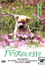 ハラスのいた日々【邦画 中古 DVD】メール便可 ケース無:: レンタル落ち 「売り尽くし」