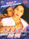 さまよえる脳髄【邦画 中古 DVD】送料無料 メール便可 レンタル落ち