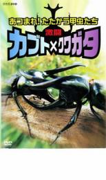 「売り尽くし」激闘 カブト×クワガ