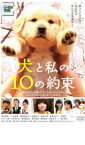 犬と私の10の約束【邦画 中古 DVD】メール便可 レンタル落ち