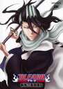 「売り尽くし」BLEACH ブリーチ 斬魄刀異聞篇 6(第250話〜第253話)【アニメ 中古 DVD】メール便可 レンタル落ち