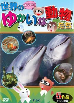 【ご奉仕価格】あつまれ!世界のゆかいな動物たち【趣味、実用 中古 DVD】メール便可 ケース無::