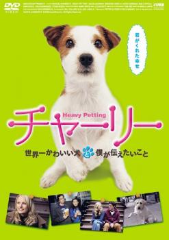 「売り尽くし」チャーリー 世界一かわいい犬と僕が伝えたいこと 字幕のみ【洋画 中古 DVD】メール便可 ケース無:: レンタル落ち