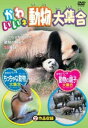「売り尽くし」かわいいネ 動物大集合【趣味、実用 中古 DVD】メール便可 ケース無::