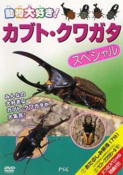 カブトムシ・クワガタ スペシャル【趣味、実用 中古 DVD】メール便可 ケース無::