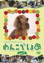 わんこでしょ 1【趣味、実用 中古 DVD】メール便可 ケース無::